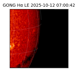 gong - 2025-10-12T07:00:42