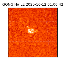 gong - 2025-10-12T01:00:42