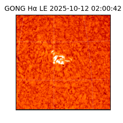 gong - 2025-10-12T02:00:42