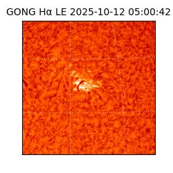gong - 2025-10-12T05:00:42