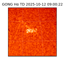 gong - 2025-10-12T09:00:22