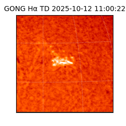 gong - 2025-10-12T11:00:22