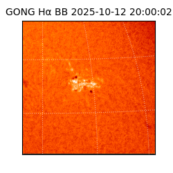 gong - 2025-10-12T20:00:02