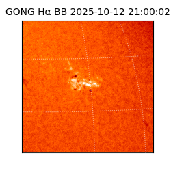 gong - 2025-10-12T21:00:02