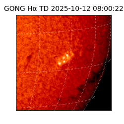 gong - 2025-10-12T08:00:22
