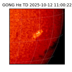gong - 2025-10-12T11:00:22