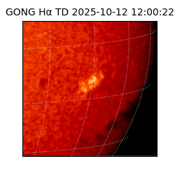 gong - 2025-10-12T12:00:22