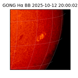 gong - 2025-10-12T20:00:02
