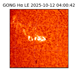gong - 2025-10-12T04:00:42