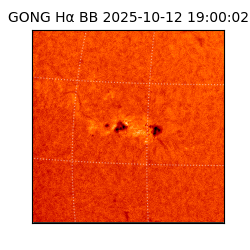 gong - 2025-10-12T19:00:02
