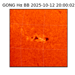 gong - 2025-10-12T20:00:02