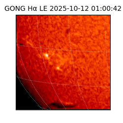 gong - 2025-10-12T01:00:42