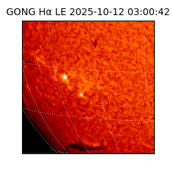 gong - 2025-10-12T03:00:42