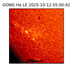 gong - 2025-10-12T05:00:42