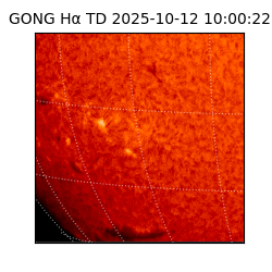 gong - 2025-10-12T10:00:22