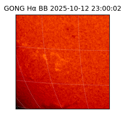 gong - 2025-10-12T23:00:02