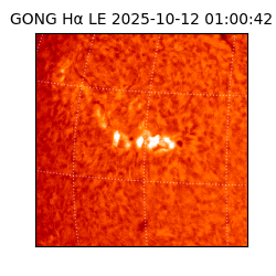 gong - 2025-10-12T01:00:42