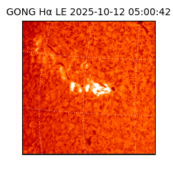 gong - 2025-10-12T05:00:42