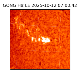 gong - 2025-10-12T07:00:42