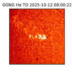 gong - 2025-10-12T08:00:22