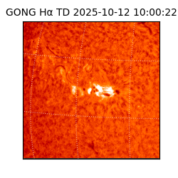 gong - 2025-10-12T10:00:22