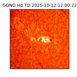 gong - 2025-10-12T12:00:22