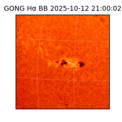 gong - 2025-10-12T21:00:02