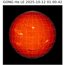 gong - 2025-10-12T01:00:42