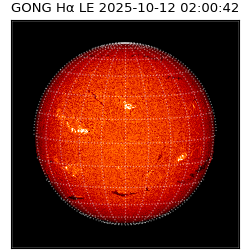 gong - 2025-10-12T02:00:42