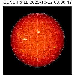 gong - 2025-10-12T03:00:42