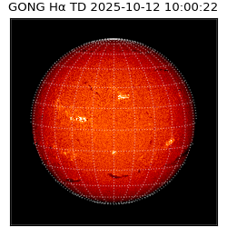 gong - 2025-10-12T10:00:22