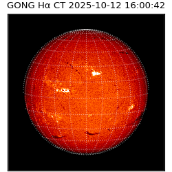 gong - 2025-10-12T16:00:42