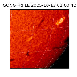 gong - 2025-10-13T01:00:42
