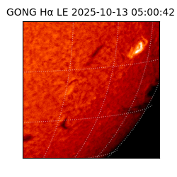 gong - 2025-10-13T05:00:42