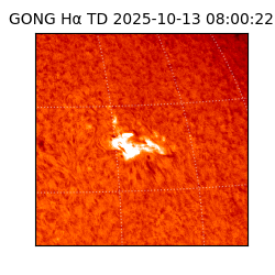gong - 2025-10-13T08:00:22