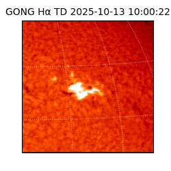 gong - 2025-10-13T10:00:22