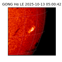gong - 2025-10-13T05:00:42