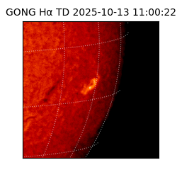 gong - 2025-10-13T11:00:22