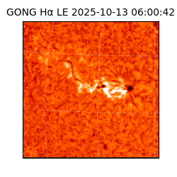 gong - 2025-10-13T06:00:42