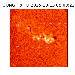 gong - 2025-10-13T08:00:22