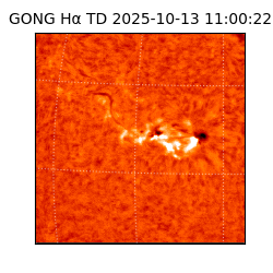 gong - 2025-10-13T11:00:22