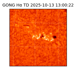 gong - 2025-10-13T13:00:22