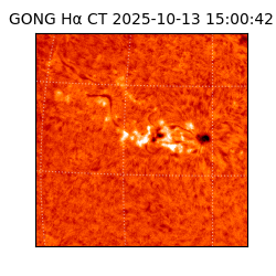gong - 2025-10-13T15:00:42