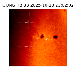 gong - 2025-10-13T21:02:02