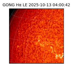 gong - 2025-10-13T04:00:42