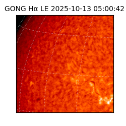 gong - 2025-10-13T05:00:42