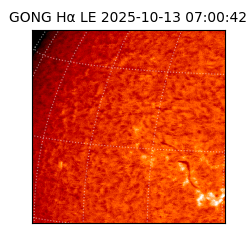 gong - 2025-10-13T07:00:42