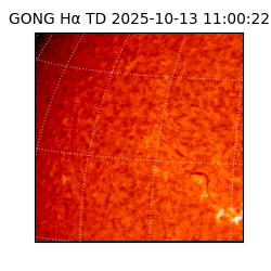 gong - 2025-10-13T11:00:22