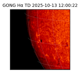 gong - 2025-10-13T12:00:22