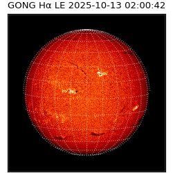 gong - 2025-10-13T02:00:42